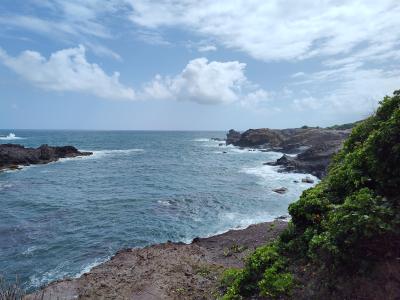 Jour 3 - Presqu'Île de la Caravelle