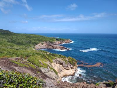 Jour 3 - Presqu'Île de la Caravelle