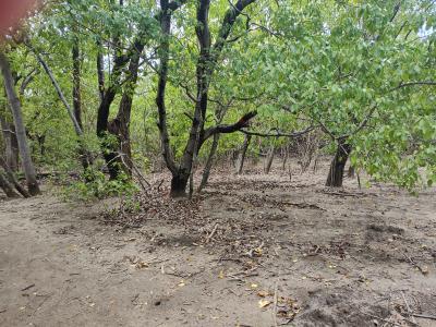 Jour 3 - Presqu'Île de la Caravelle