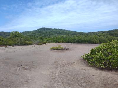 Jour 3 - Presqu'Île de la Caravelle