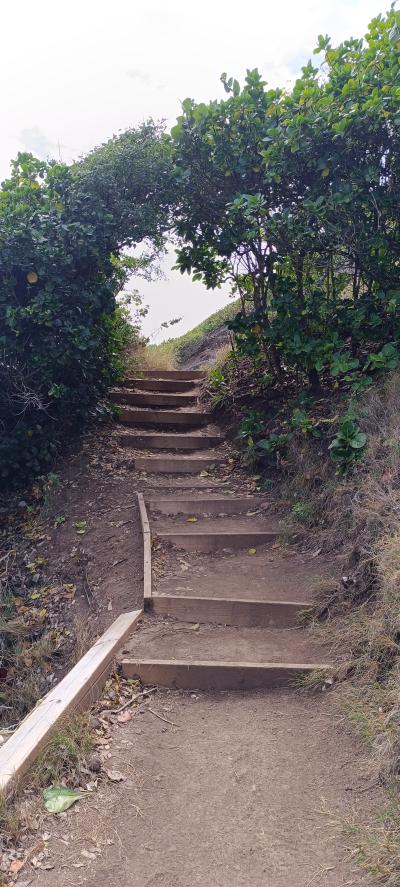 Jour 3 - Presqu'Île de la Caravelle