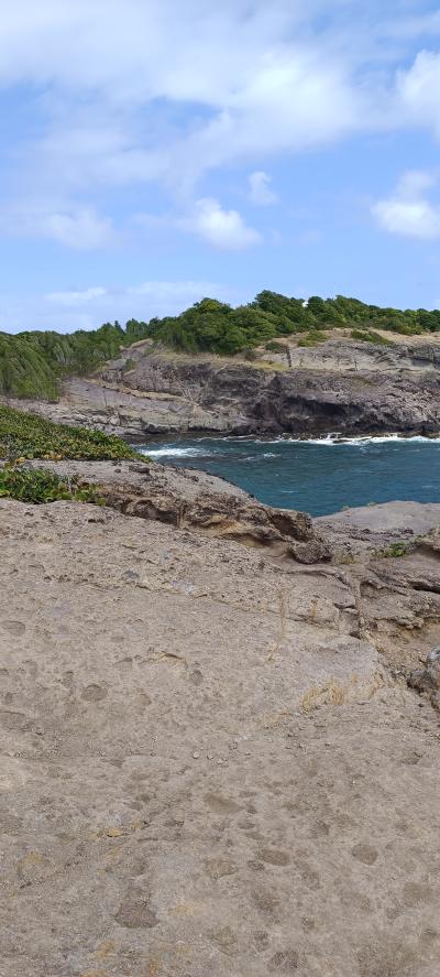 Jour 3 - Presqu'Île de la Caravelle