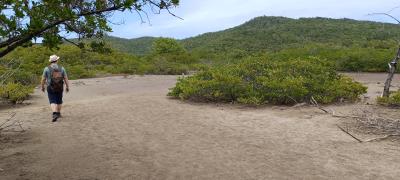 Jour 3 - Presqu'Île de la Caravelle