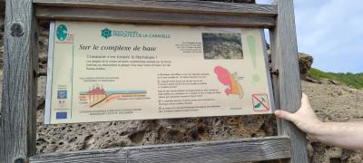 Jour 3 - Presqu'Île de la Caravelle