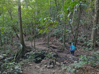 Jour 4 - Cascades, jardin et Vanille