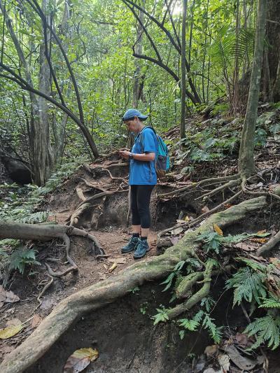 Jour 4 - Cascades, jardin et Vanille