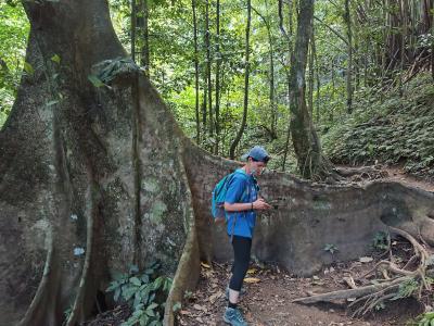 Jour 4 - Cascades, jardin et Vanille