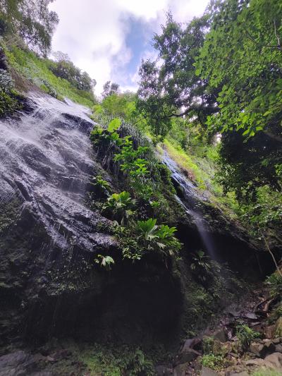 Jour 4 - Cascades, jardin et Vanille