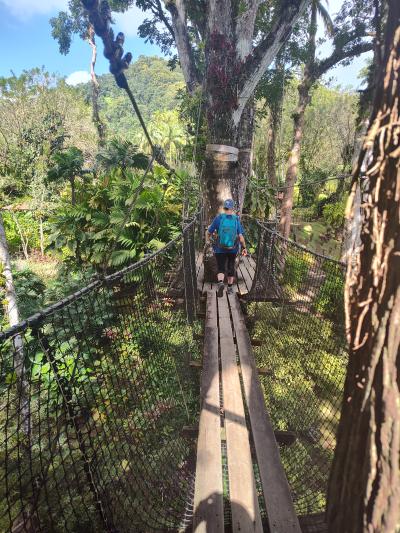 Jour 4 - Cascades, jardin et Vanille