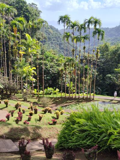 Jour 4 - Cascades, jardin et Vanille