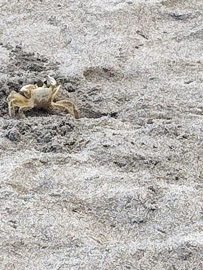 Jour 4 - Cascades, jardin et Vanille