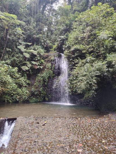 Jour 4 - Cascades, jardin et Vanille