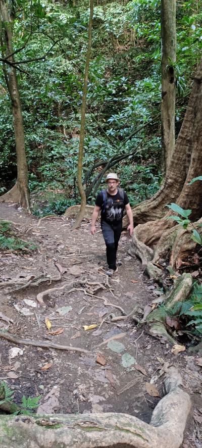 Jour 4 - Cascades, jardin et Vanille