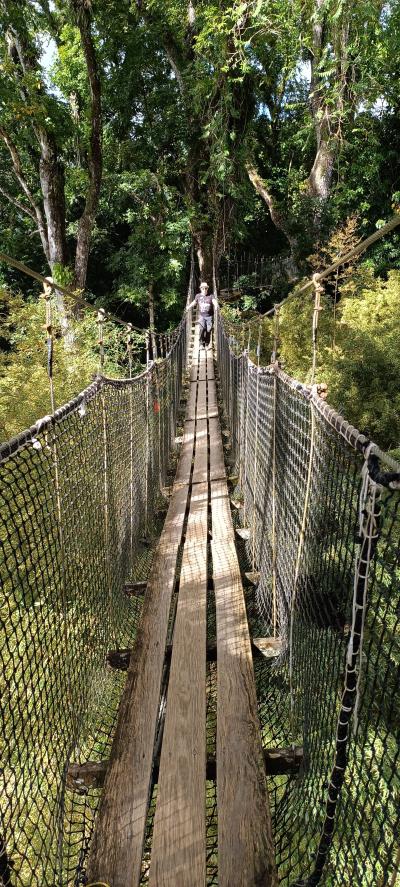 Jour 4 - Cascades, jardin et Vanille