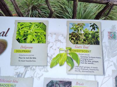 Jour 5 - La Savane des Esclaves