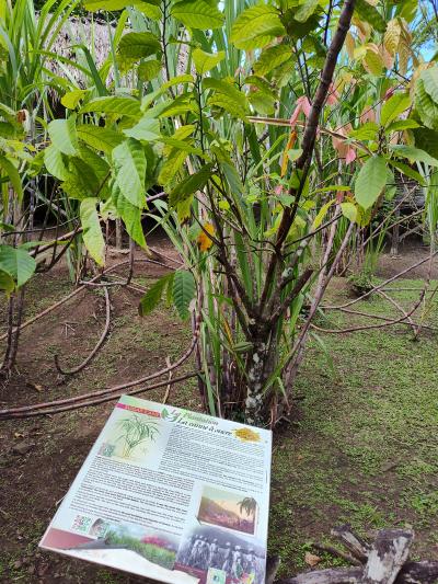 Jour 5 - La Savane des Esclaves