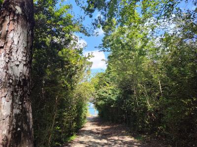 Jour 5 - Forêt de Vatable