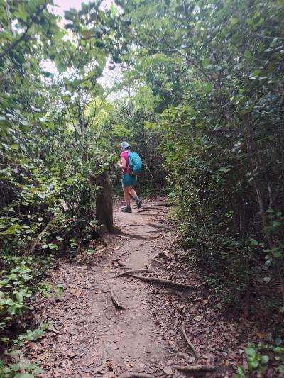 Jour 5 - Forêt de Vatable