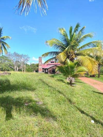 Jour 5 - Maison de la Canne a sucre