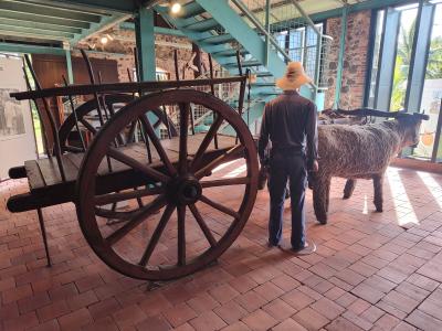 Jour 5 - Maison de la Canne a sucre