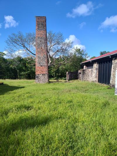 Jour 5 - Maison de la Canne a sucre