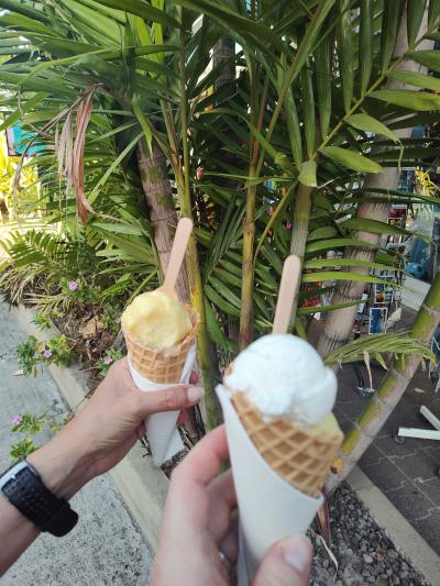 Jour 5 - Les trois-îlets et La pointe du bout