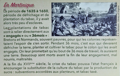 Jour 5 - La Savane des Esclaves