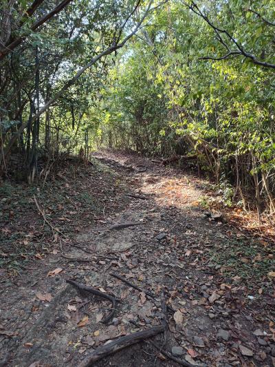 Jour 6 - Ascension du piton crève coeur