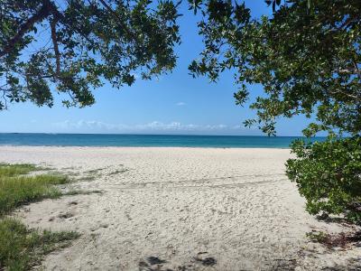 Jour 6 - La savane des Pétrifications