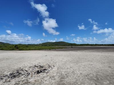 Jour 6 - La savane des Pétrifications