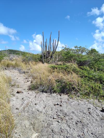 Jour 6 - La savane des Pétrifications