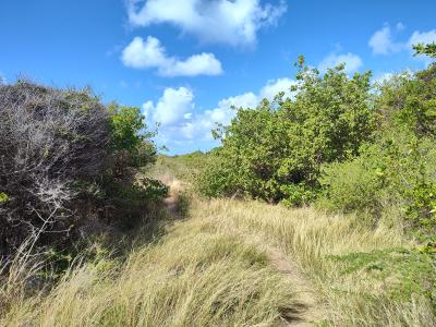 Jour 6 - La savane des Pétrifications