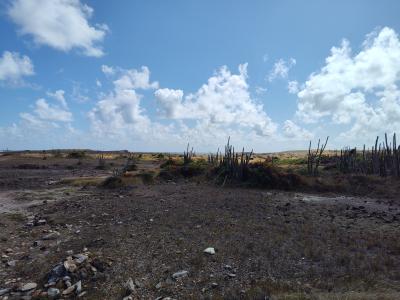 Jour 6 - La savane des Pétrifications