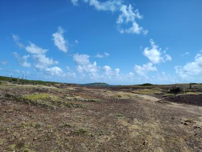 Jour 6 - La savane des Pétrifications
