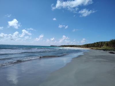 Jour 6 - La savane des Pétrifications