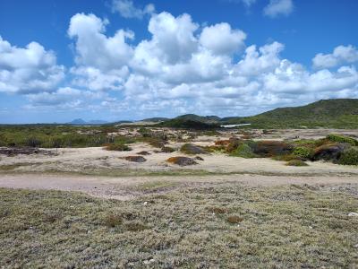 Jour 6 - La savane des Pétrifications