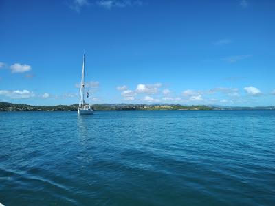 Jour 7 - Sortie en bateau