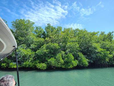 Jour 7 - Sortie en bateau