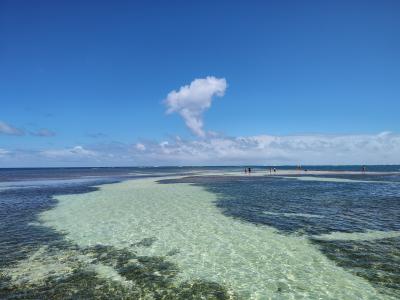 Jour 7 - Sortie en bateau