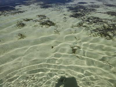 Jour 7 - Sortie en bateau