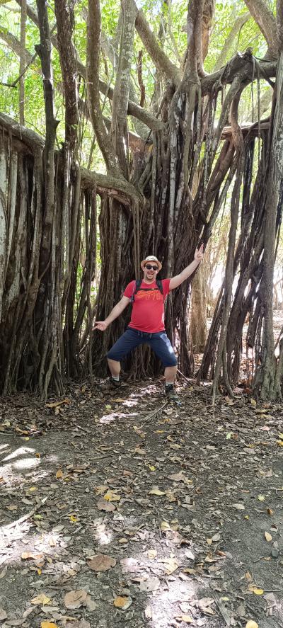 Jour 6 - La savane des Pétrifications