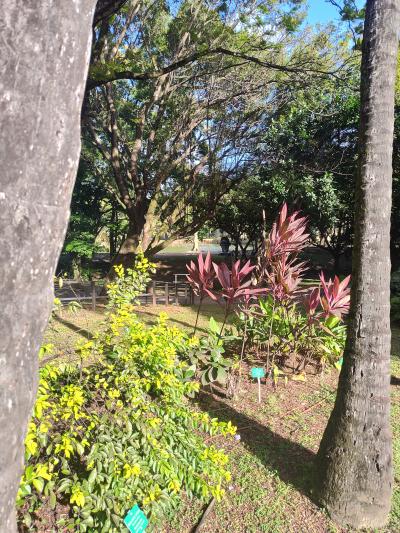 Jour 7 - Distillerie Clément