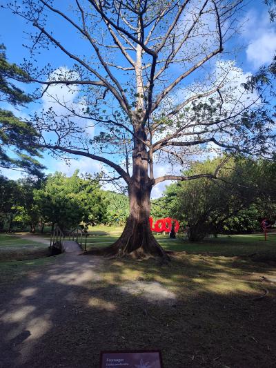 Jour 7 - Distillerie Clément