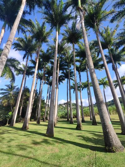 Jour 7 - Distillerie Clément