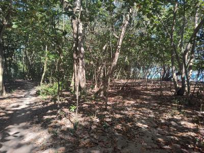 Jour 8 - Plage et balade côtière