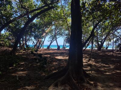 Jour 8 - Plage et balade côtière