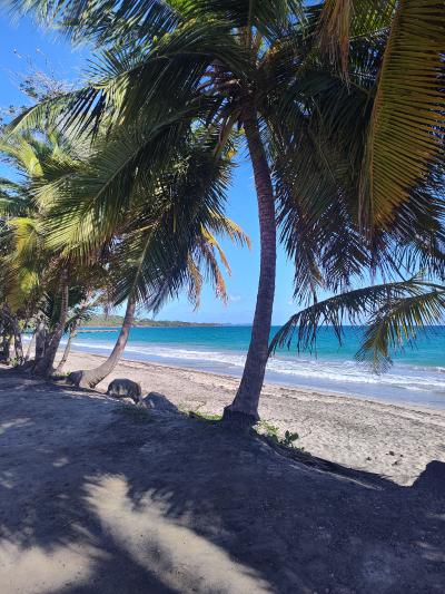 Jour 8 - Plage et balade côtière