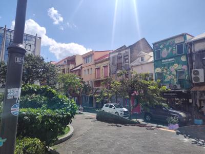 Jour 9 - Fort de france et retour