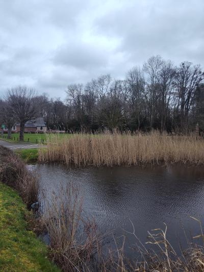 Notre campagne Normande