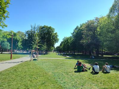 Une balade sous le soleil Lillois